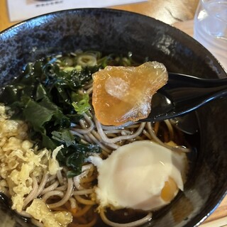 食事処 あぶらびれ_1