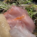 寿司と干物 井 - 