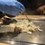 お好み焼き 清十郎 - 料理写真: