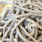 専心庵 - 粗挽き蕎麦