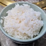 川崎名物 炭火焼肉 食道園 - ライス