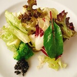 リストランテ カノビアーノ - このサラダが芸術的に美味しかった〜低温テクニックを使っての仕込みだそうですが、一つ一つが完璧！