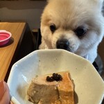 鮨居酒屋 而今いいかわ - 