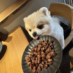 鮨居酒屋 而今いいかわ - 