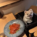 鮨居酒屋 而今いいかわ - 