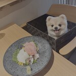 鮨居酒屋 而今いいかわ - 