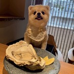 鮨居酒屋 而今いいかわ - 