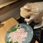 鮨居酒屋 而今いいかわ - 