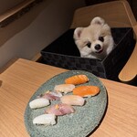 鮨居酒屋 而今いいかわ - 