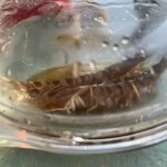 Del Mar COMEDOR Y TERRAZA - 