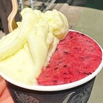 ジェラテリア アクオリーナ - 