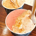 ジェラテリア アクオリーナ - 