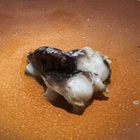 bb9 - 