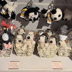 サンデーブランチ - 