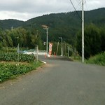 ベアード・ブルワリーガーデン修善寺 - 遠くにべアートの旗が見えてきます。