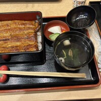 うなぎ割烹 白金台 まつ本 - 