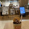 ORANG ORANG cacao - 