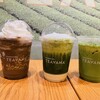 スターバックス・コーヒー 六本木ヒルズ メトロハット・ハリウッドプラザ店