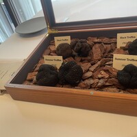 Terres de Truffes, Tokyo - 