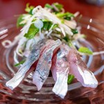MOT - 2025.6 Horse mackerel Thai Herbs（旬魚のハーブドレスアップお刺身サラダ）