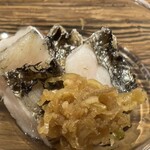 壮士 - 太刀魚アップ