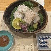 吉星 - 鱧焼き霜づくりと湯引き