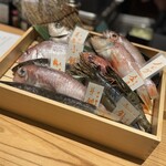 炭火焼き ウキヨバナレ。 - 