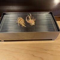 てんぷら山の上 Ginza - 