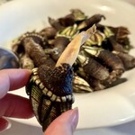 アロセリア ラ パンサ - 