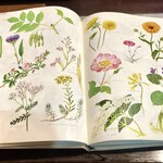 キッチン あずま - カウンターの図鑑。［世界のスパイス百科］