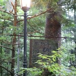 カフェ ラフィーネ - 