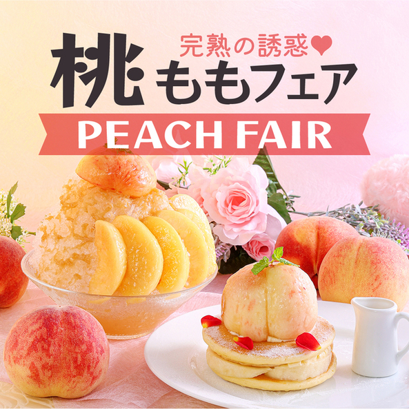 Holland Ya Ikoma Ten photo 5