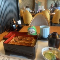 鰻割烹 伊豆栄 本店 -  鰻割烹 伊豆栄 本店 -