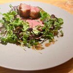 マンサルヴァ - 