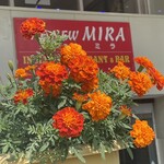 インデアンレストラン  ニューミラ - 