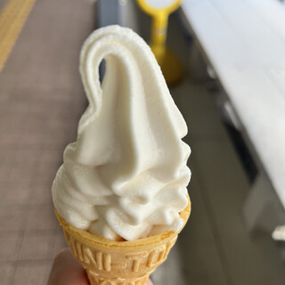 やんプルースト　クリーム プルーストクリームのおすすめ人気商品一覧 通販 - Yahoo