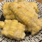 村山 満月うどん - 