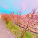 スープカリー 藍色 - 店横の川沿い