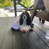 ベーカリーレストラン エピ - 