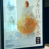KATO'S DINING & BAR - 