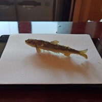 お座敷天婦羅 天政 丸ビル店 - 