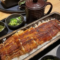 うなぎ四代目菊川 ヒルトンプラザウエスト大阪店 - 