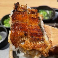 うなぎ四代目菊川 ヒルトンプラザウエスト大阪店 - 