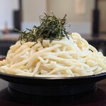 手打白門うどん 家康 - ざるうどん（大盛り）