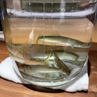 ワインと和食 みくり - 
