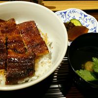 うなぎ料理 澤正 - うなぎ丼
