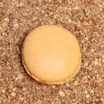 メロディア - アプリコットマカロン