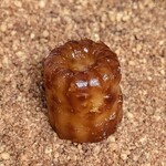 メロディア - カヌレ