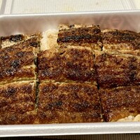 炭焼 うな富士 有楽町店 - 焼き目しっかり系