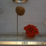 Enoteca Pinchiorri - アミューズ１